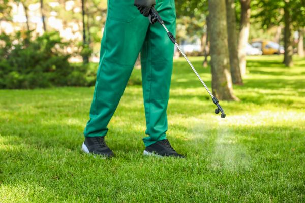 Little Rock Lawn Treatment