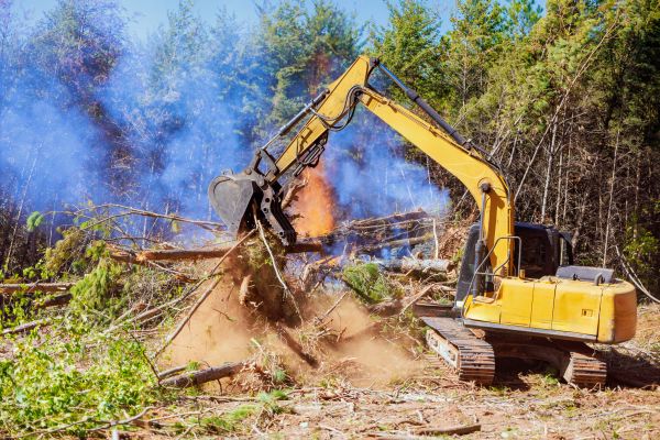 Little Rock Land Clearing
