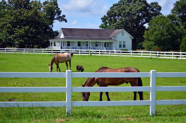 Little Rock Fence Service